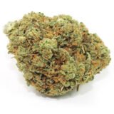 Abusive OG