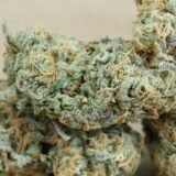 Blue Dream