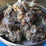 Gorilla Glue #4