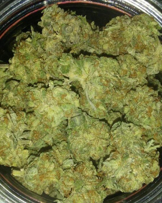 Grape Ape Kush