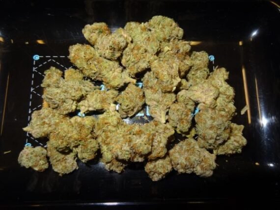 Sunset Sherbert