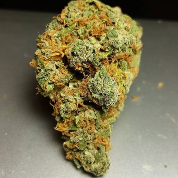 White Widow