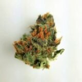 Black Cherry Soda