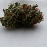 Bubba Kush