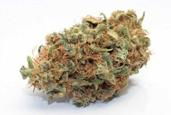 Bubble Gum Kush