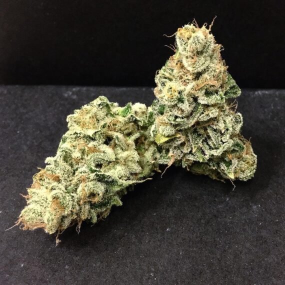 Dutch Treat