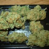 Green Crack