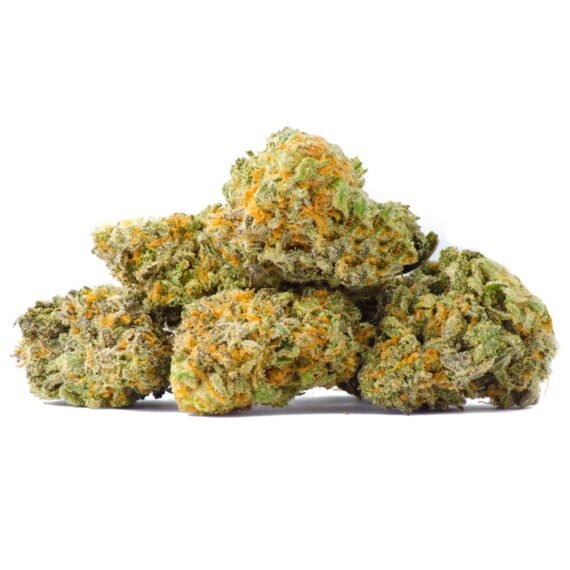 Hawaii Skunk