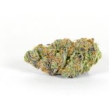 Jilly Bean