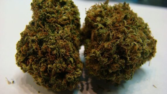 Pineapple Chunk