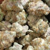 Purple Urkle
