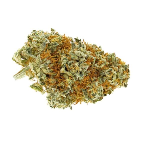 Shiatsu Kush