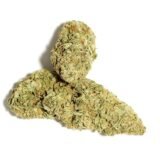Sour OG