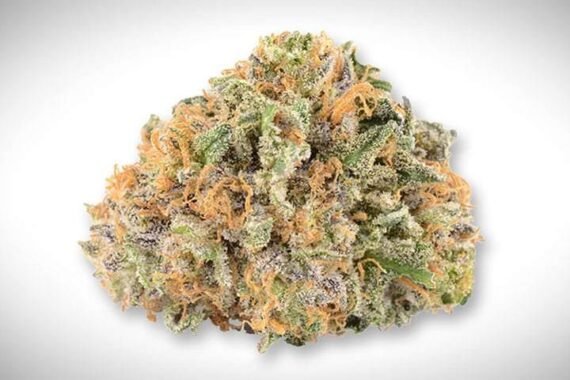 Strawberry Cough
