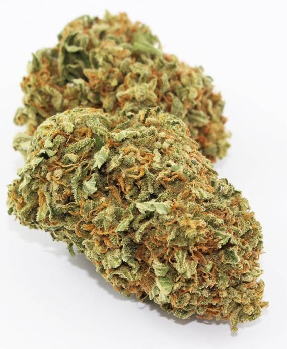 Tangerine Dream